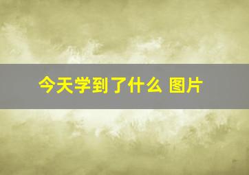 今天学到了什么 图片